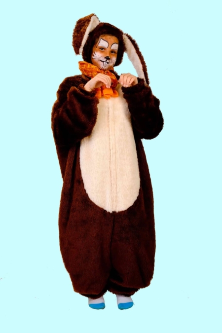 Kostüm Hase Dunkelbraun Kinder. 13,- € für vier Tage. Gr. 50-52. Zubehör inklusive - Chemnitzer Kostümverleih - Kostüm T-82