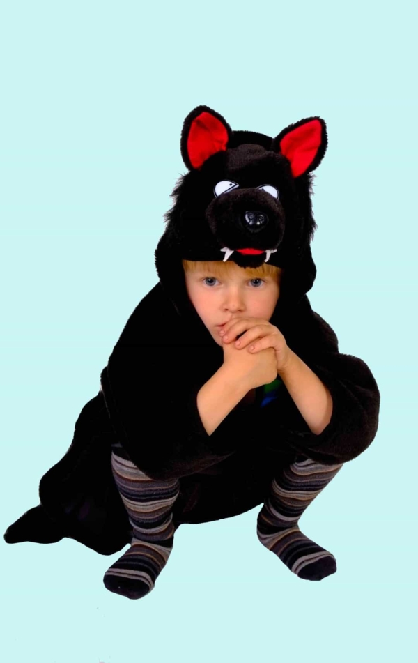 Kostüm Wolf Umhang für Kinder. 12,- € für vier Tage. Gr. 98. Zubehör inklusive - Chemnitzer Kostümverleih - Kostüm T-20