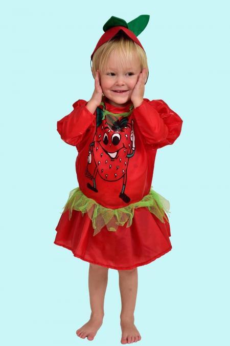 Kostüm kleine Erdbeere Gr. 110 für Kinder. 12,- € für vier Tage. Zubehör inklusive. Chemnitzer Kostümverleih F-4