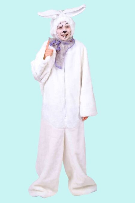 Kostüm Schneehase für Erwachsene. 24,- € für vier Tage. Gr. XL  Zubehör inklusive - Chemnitzer Kostümverleih - Kostüm T-87a