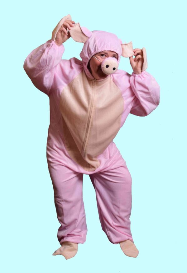 Kostüm einmal Schwein sein Gr.XL für Erwachsene. 26,- € für vier Tage. Zubehör inklusive - Kostümverleih Chemnitz T-103